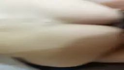 4231227877623829450