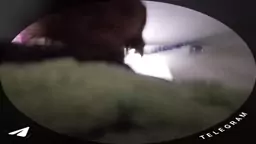 1857073083725724783