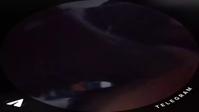 8776292313214448507