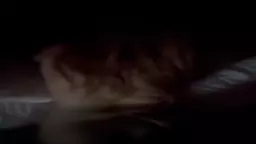 4910113698019362294