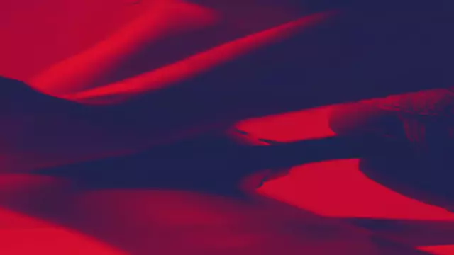 Сямо 24 sm