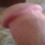 Rafik711