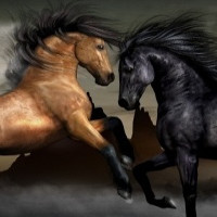 mustang