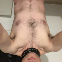 Gay33