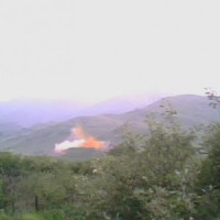 armenchik121350