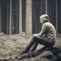Davo12335