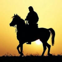 nasser