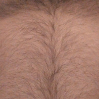 seqsolog