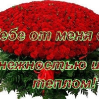 armena12345