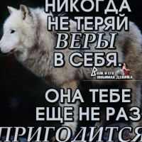 artyom55