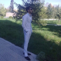GEV2017