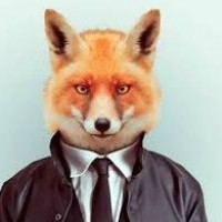 Mr_Fox