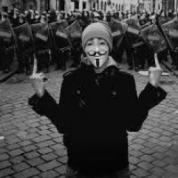 alex67