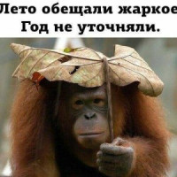 alexo1
