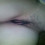 suprpara