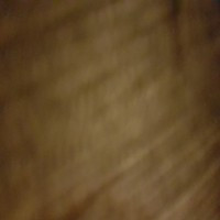 karen88886