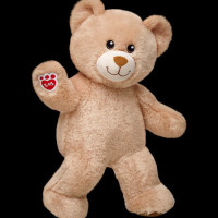 TaddyBear321