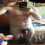 abo_jan