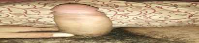 Nvo77_7
