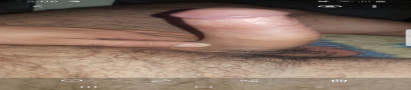 ANDI11