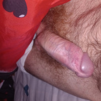 David66
