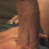 Arman__999