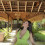 Liza_hard