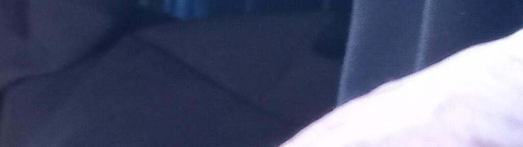 Lott