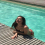 ann_yann_32