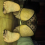 Pedro_crosd