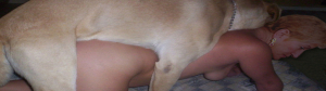 hotadela