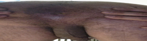 carlosa