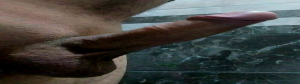 Xanyobr