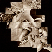 Txamard40
